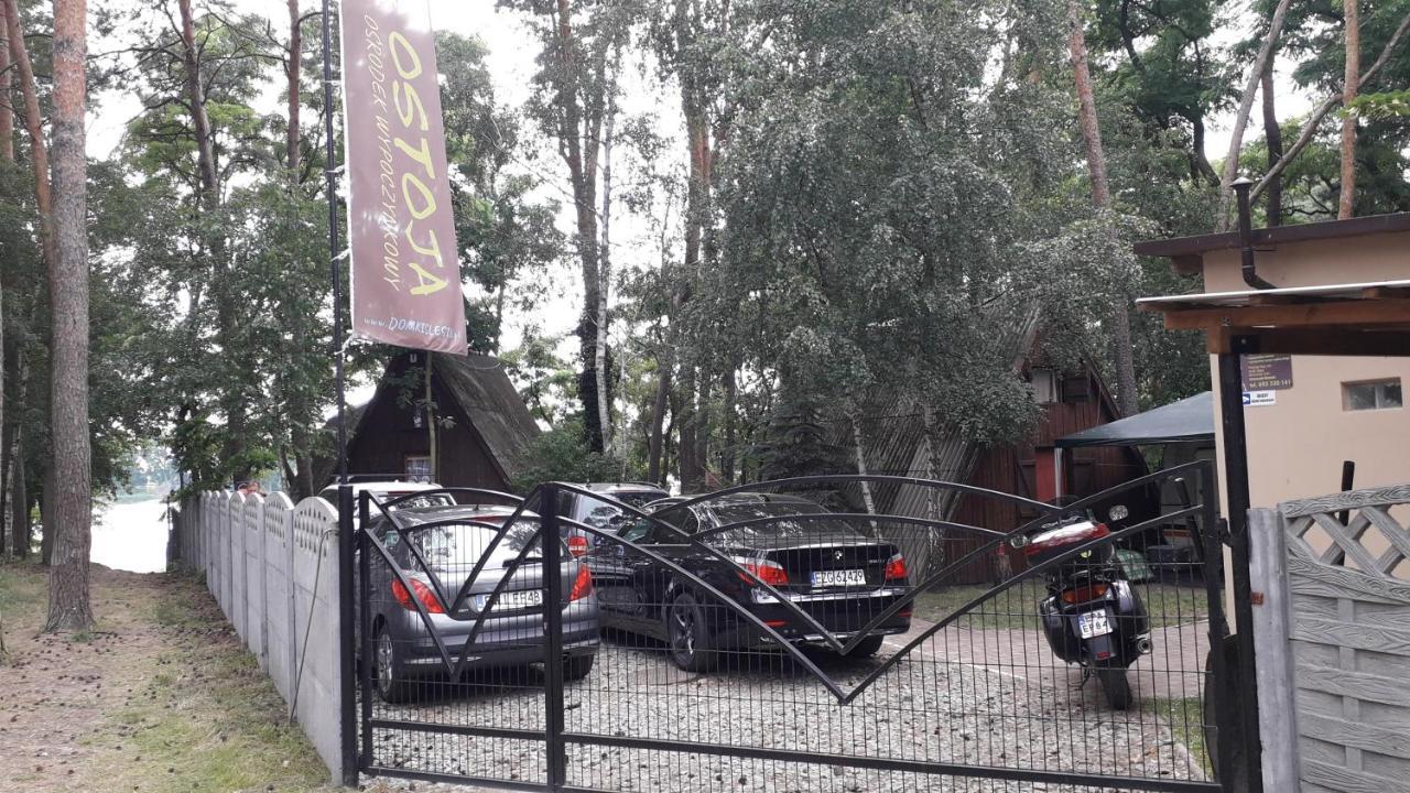 Ostoja